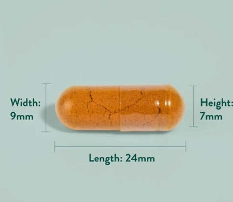 Holland Barrett  Turmeric 600mg with Black Pepper90Capsules